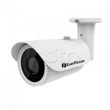 Камера видеонаблюдения в стандартном исполнении EverFocus EZA-2580